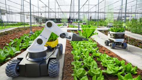 私人 5G 網路連線的智慧農業機器人協助戶外環境採收作物