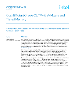 搭載 VMware 與階層式記憶體的 Oracle OLTP